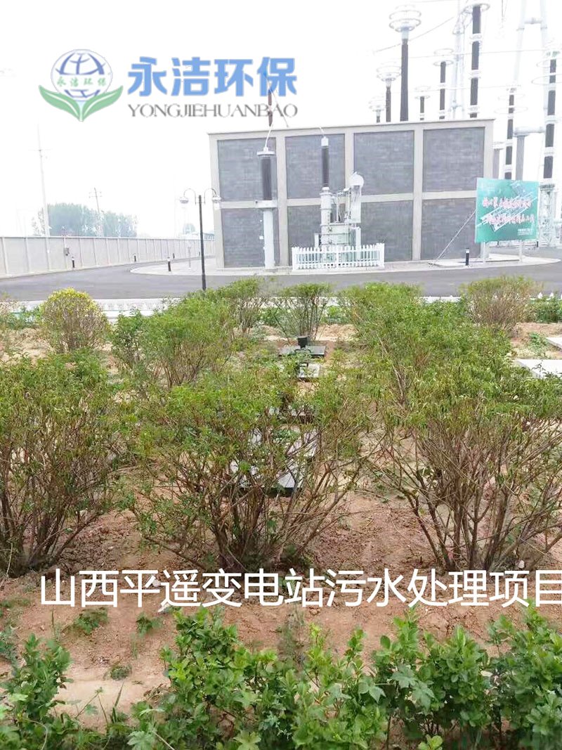 &#108;&#101;&#121;&#117;&#20048;&#40060;