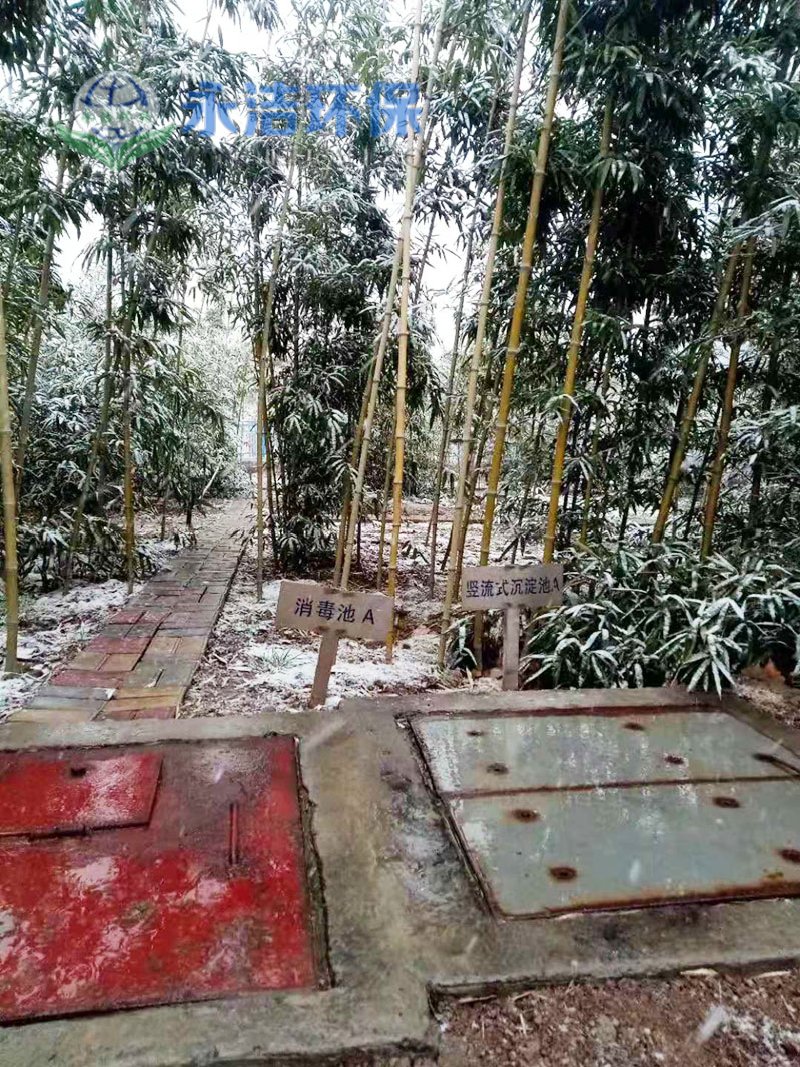 &#108;&#101;&#121;&#117;&#20048;&#40060;