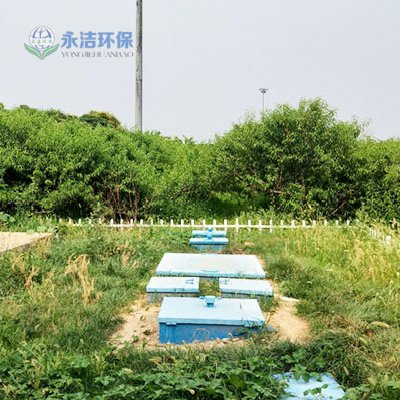 &#108;&#101;&#121;&#117;&#20048;&#40060;