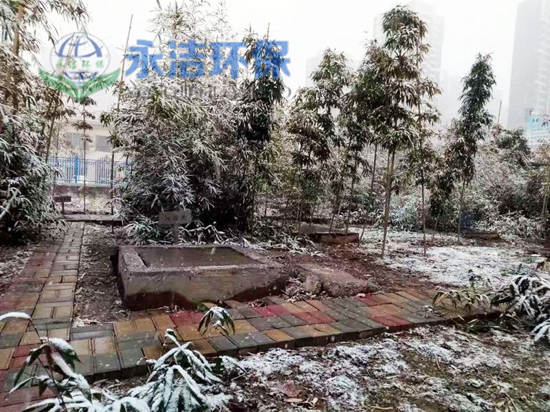 &#108;&#101;&#121;&#117;&#20048;&#40060;