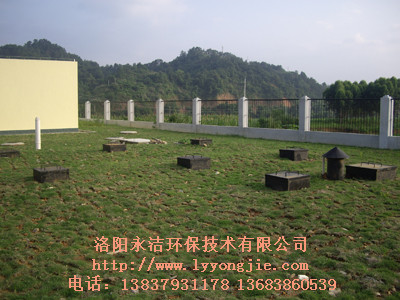 &#108;&#101;&#121;&#117;&#20048;&#40060;